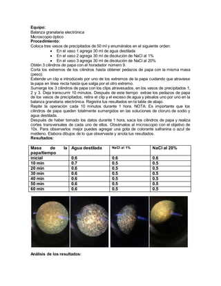 Equipo:
Balanza granataria electrónica
Microscopio óptico
Procedimiento:
Coloca tres vasos de precipitados de 50 ml y enuméralos en el siguiente orden:
 En el vaso 1 agrega 30 ml de agua destilada
 En el vaso 2 agrega 30 ml de disolución de NaCl al 1%
 En el vaso 3 agrega 30 ml de disolución de NaCl al 20%
Obtén 3 cilindros de papa con el horadador número 9.
Corta los extremos de los cilindros hasta obtener pedazos de papa con la misma masa
(peso).
Extiende un clip e introdúcelo por uno de los extremos de la papa cuidando que atraviese
la papa en línea recta hasta que salga por el otro extremo.
Sumerge los 3 cilindros de papa con los clips atravesados, en los vasos de precipitados 1,
2 y 3. Deja transcurrir 10 minutos. Después de este tiempo extrae los pedazos de papa
de los vasos de precipitados, retira el clip y el exceso de agua y pésalos uno por uno en la
balanza granataria electrónica. Registra tus resultados en la tabla de abajo.
Repite la operación cada 10 minutos durante 1 hora. NOTA: Es importante que los
cilindros de papa queden totalmente sumergidos en las soluciones de cloruro de sodio y
agua destilada.
Después de haber tomado los datos durante 1 hora, saca los cilindros de papa y realiza
cortes transversales de cada uno de ellos. Obsérvalos al microscopio con el objetivo de
10x. Para observarlos mejor puedes agregar una gota de colorante safranina o azul de
metileno. Elabora dibujos de lo que observaste y anota tus resultados.
Resultados:
Masa de la
papa/tiempo
Agua destilada NaCl al 1% NaCl al 20%
inicial 0.6 0.6 0.6
10 min 0.7 0.5 0.5
20 min 0.6 0.5 0.5
30 min 0.6 0.5 0.5
40 min 0.6 0.5 0.5
50 min 0.6 0.5 0.5
60 min 0.6 0.5 0.5
Análisis de los resultados:
 