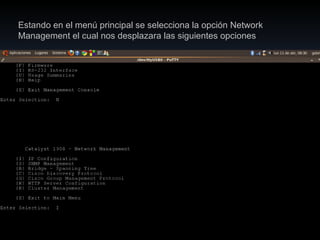 Router Estando en el menú principal se selecciona la opción Network Management el cual nos desplazara las siguientes opciones : 
