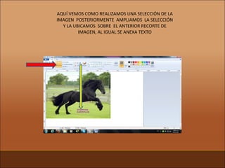 AQUÍ VEMOS COMO REALIZAMOS UNA SELECCIÓN DE LA IMAGEN  POSTERIORMENTE  AMPLIAMOS  LA SELECCIÓN Y LA UBICAMOS  SOBRE  EL ANTERIOR RECORTE DE IMAGEN, AL IGUAL SE ANEXA TEXTO 