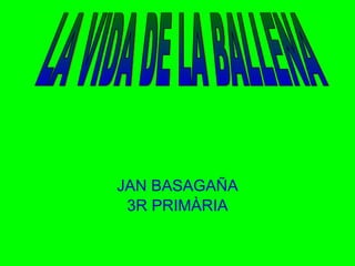 JAN BASAGAÑA 3R PRIMÀRIA LA VIDA DE LA BALLENA 