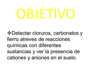 OBJETIVO
Detectar cloruros, carbonatos y
fierro atreves de reacciones
químicas con diferentes
sustancias y ver la presencia de
cationes y aniones en el suelo.
 