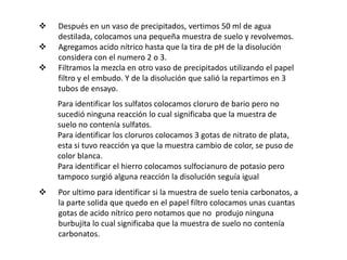    Después en un vaso de precipitados, vertimos 50 ml de agua
    destilada, colocamos una pequeña muestra de suelo y revolvemos.
   Agregamos acido nítrico hasta que la tira de pH de la disolución
    considera con el numero 2 o 3.
   Filtramos la mezcla en otro vaso de precipitados utilizando el papel
    filtro y el embudo. Y de la disolución que salió la repartimos en 3
    tubos de ensayo.
    Para identificar los sulfatos colocamos cloruro de bario pero no
    sucedió ninguna reacción lo cual significaba que la muestra de
    suelo no contenía sulfatos.
    Para identificar los cloruros colocamos 3 gotas de nitrato de plata,
    esta si tuvo reacción ya que la muestra cambio de color, se puso de
    color blanca.
    Para identificar el hierro colocamos sulfocianuro de potasio pero
    tampoco surgió alguna reacción la disolución seguía igual
   Por ultimo para identificar si la muestra de suelo tenia carbonatos, a
    la parte solida que quedo en el papel filtro colocamos unas cuantas
    gotas de acido nítrico pero notamos que no produjo ninguna
    burbujita lo cual significaba que la muestra de suelo no contenía
    carbonatos.
 