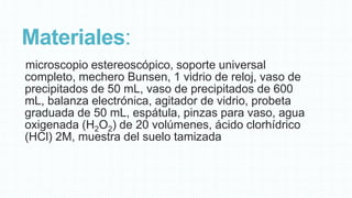 Materiales:
microscopio estereoscópico, soporte universal
completo, mechero Bunsen, 1 vidrio de reloj, vaso de
precipitados de 50 mL, vaso de precipitados de 600
mL, balanza electrónica, agitador de vidrio, probeta
graduada de 50 mL, espátula, pinzas para vaso, agua
oxigenada (H2O2) de 20 volúmenes, ácido clorhídrico
(HCl) 2M, muestra del suelo tamizada

 