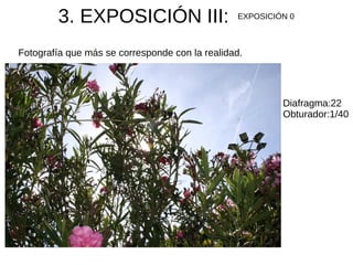 3. EXPOSICIÓN III: EXPOSICIÓN 0
Diafragma:22
Obturador:1/40
Fotografía que más se corresponde con la realidad.
 