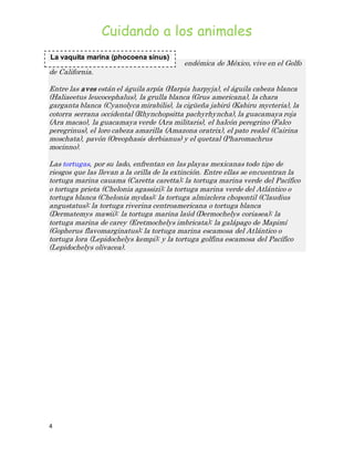 Cuidando a los animales 
La vaquita marina (phocoena sinus) 
, endémica de México, vive en el Golfo 
de California. 
Entre las aves están el águila arpía (Harpia harpyja), el águila cabeza blanca 
(Haliaeetus leucocephalus), la grulla blanca (Grus americana), la chara 
garganta blanca (Cyanolyca mirabilis), la cigüeña jabirú (Kabiru mycteria), la 
cotorra serrana occidental (Rhynchopsitta pachyrhyncha), la guacamaya roja 
(Ara macao), la guacamaya verde (Ara militaris), el halcón peregrino (Falco 
peregrinus), el loro cabeza amarilla (Amazona oratrix), el pato realel (Cairina 
moschata), pavón (Oreophasis derbianus) y el quetzal (Pharomachrus 
mocinno). 
Las tortugas, por su lado, enfrentan en las playas mexicanas todo tipo de 
riesgos que las llevan a la orilla de la extinción. Entre ellas se encuentran la 
tortuga marina cauama (Caretta caretta); la tortuga marina verde del Pacífico 
o tortuga prieta (Chelonia agassizi); la tortuga marina verde del Atlántico o 
tortuga blanca (Chelonia mydas); la tortuga almizclera chopontil (Claudius 
angustatus); la tortuga riverina centroamericana o tortuga blanca 
(Dermatemys mawii); la tortuga marina laúd (Dermochelys coriasea); la 
tortuga marina de carey (Eretmochelys imbricata); la galápago de Mapimí 
(Gopherus flavomarginatus); la tortuga marina escamosa del Atlántico o 
tortuga lora (Lepidochelys kempi); y la tortuga golfina escamosa del Pacífico 
(Lepidochelys olivacea). 
4 
