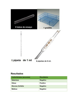 Resultados
Carbohidratos (azucares) Resultados
Galactosa Negativo
Xilosa Positivo
Glucosa Anhidra Negativo
Maltosa Negativo
 