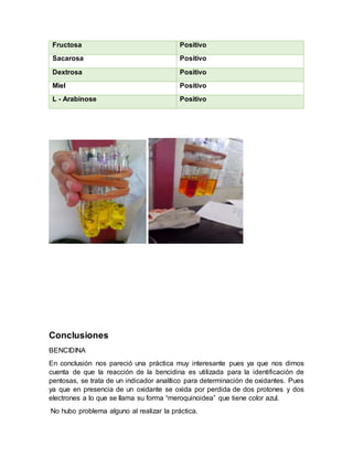 Fructosa Positivo
Sacarosa Positivo
Dextrosa Positivo
Miel Positivo
L - Arabinose Positivo
Conclusiones
BENCIDINA
En conclusión nos pareció una práctica muy interesante pues ya que nos dimos
cuenta de que la reacción de la bencidina es utilizada para la identificación de
pentosas, se trata de un indicador analítico para determinación de oxidantes. Pues
ya que en presencia de un oxidante se oxida por perdida de dos protones y dos
electrones a lo que se llama su forma “meroquinoidea” que tiene color azul.
No hubo problema alguno al realizar la práctica.
 