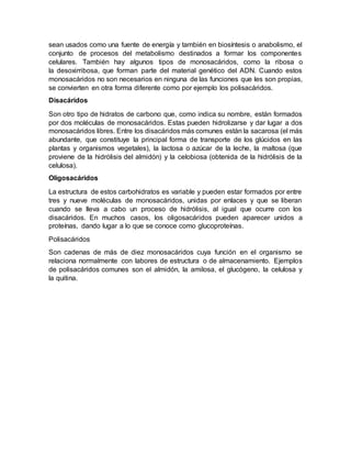 sean usados como una fuente de energía y también en biosíntesis o anabolismo, el
conjunto de procesos del metabolismo destinados a formar los componentes
celulares. También hay algunos tipos de monosacáridos, como la ribosa o
la desoxirribosa, que forman parte del material genético del ADN. Cuando estos
monosacáridos no son necesarios en ninguna de las funciones que les son propias,
se convierten en otra forma diferente como por ejemplo los polisacáridos.
Disacáridos
Son otro tipo de hidratos de carbono que, como indica su nombre, están formados
por dos moléculas de monosacáridos. Estas pueden hidrolizarse y dar lugar a dos
monosacáridos libres. Entre los disacáridos más comunes están la sacarosa (el más
abundante, que constituye la principal forma de transporte de los glúcidos en las
plantas y organismos vegetales), la lactosa o azúcar de la leche, la maltosa (que
proviene de la hidrólisis del almidón) y la celobiosa (obtenida de la hidrólisis de la
celulosa).
Oligosacáridos
La estructura de estos carbohidratos es variable y pueden estar formados por entre
tres y nueve moléculas de monosacáridos, unidas por enlaces y que se liberan
cuando se lleva a cabo un proceso de hidrólisis, al igual que ocurre con los
disacáridos. En muchos casos, los oligosacáridos pueden aparecer unidos a
proteínas, dando lugar a lo que se conoce como glucoproteínas.
Polisacáridos
Son cadenas de más de diez monosacáridos cuya función en el organismo se
relaciona normalmente con labores de estructura o de almacenamiento. Ejemplos
de polisacáridos comunes son el almidón, la amilosa, el glucógeno, la celulosa y
la quitina.
 