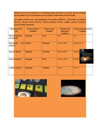 Observa con el microscopio o el estereoscopio la forma y el color de los cristales
de las sales de los compuestos que contienen elementos de transición.
Las sales pueden ser: permanganato de potasio (KMnO4), dicromato de potasio
(KCrO4), cloruro férrico (FeCI3), cloruro ferroso (FeCI2), sulfato cúprico (CuSO4).
Llena la tabla siguiente.
Nombre de la
sal
Forma de los
cristales
Color de los
cristales
Periodo del
elemento
metálico
Grupo del elemento
metálico
Permanganato
de potasio
Irregular Gris K 4 K 1
Dicromato de
potasio
Piedra Naranja Cr 4 y K 4 Cr 6 y K 1
cloruro férrico Regular Amarillo Fe 4 y Cl 3 Fe 8 y Cl 17
cloruro ferroso Irregular Gris Fe 4 y Cl 3 Fe 8 y Cl 17
sulfato cúprico Irregular Celeste Cu 4 Cu 11
 
