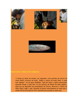 Experimento 3. Sales de los halógenos.
1) Vierte en tubos de ensayo, por separado, unos granitos de cloruro de
sodio (NaCI), bromuro de sodio (NaBr) y yoduro de sodio (NaI). A cada
tubo agrega 1 ml de agua destilada. Tapa los tubos y agita suavemente.
Después añade a cada tubo 1ml de solución de Nitrato de plata (AgNO3).
Deja que se depositen los precipitados de Cloruro, Bromuro y Yoduro de
Plata (AgCl, AgBr y AgI). Decanta el líquido sobrenadante de cada tubo y
añade 3ml de amoniaco al 10%. Describe que sucede en cada caso.
 
