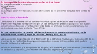 En la conversión de músculo a carne se dan en tres fases:
-la etapa de pre-rigor o apoptosis
-el rigor mortis
-la tenderización.
Estas etapas están muy relacionadas con el desarrollo de los diferentes atributos de la calidad de
carne
Muerte celular o Apoptosis
Corresponde a la primera fase de conversión cárnica a partir del músculo. Este es un proceso
organizado y regulado fisiológicamente por un tipo particular de proteínas (Caspasas) que sucede
comúnmente en los seres vivientes, incluyendo desde los animales monomoleculares hasta los
pluricelulares como los mamíferos (Yuan, 1996).
Se cree que este tipo de muerte celular está muy estrechamente relacionada con la
evolución de la terneza y el pH en la carne (Kemp y Parr, 2012).
Las caspasas son las principales en la destrucción de la estructura muscular, por la degradación de las
proteínas de las miofibrillas de componentes cuando el musculo entra en estado post-mortem
después del beneficio del animal.
Pero se ha encontrado que este proceso es apoyado, más adelante, por otros sistemas (como el de
las catepsinas y calpaínas), para facilitar una adecuada degradación proteínica.
 