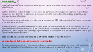 Rigor Mortis
Es la segunda fase de la conversión de músculo a carne, el cual se define como una contracción lenta
e irreversible.
Cuando el animal es beneficiado y desangrado se genera una interrupción no solo en la circulación
sanguínea, sino también el aporte de oxígeno al músculo, iniciando así la síntesis anaeróbica de
energía, llamada glucólisis.
Este proceso se caracteriza por la producción y consumo de ATP (Adenosintrifosfato), para compensar
la escasez de energética.
A medida que se gasta las reservas glucogénicas se da una acumulación de ácido láctico (producto
final del metabolismo anaeróbico), el pH post-mortem disminuye y esta caída inactiva las enzimas
glucolíticas, hasta llegar a un complejo rígido llamado Actiomiosina, que en última instancia es lo que
se denomina músculo en rigor.
Este estado se alcanza entre las 10 y 24 horas posteriores a la muerte.
La importancia del funcionamiento del rigor mortis
Conocer funcionamiento del rigor mortis, así como su efecto en la calidad de carne, es importante
pues está estrechamente relacionado con parámetros como la suavidad, el pH y el color.
 