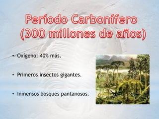 • Oxígeno: 40% más.
• Primeros insectos gigantes.
• Inmensos bosques pantanosos.
 