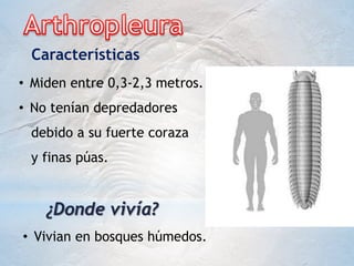 Características
• Miden entre 0,3-2,3 metros.
• No tenían depredadores
debido a su fuerte coraza
y finas púas.
• Vivian en bosques húmedos.
¿Donde vivía?
 