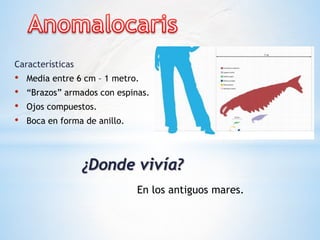 Características
• Media entre 6 cm – 1 metro.
• “Brazos” armados con espinas.
• Ojos compuestos.
• Boca en forma de anillo.
¿Donde vivía?
En los antiguos mares.
 