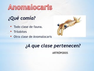 • Todo clase de fauna.
• Trilobites
• Otra clase de Anomalocaris
¿Qué comía?
¿A que clase pertenecen?
ARTRÓPODOS
 