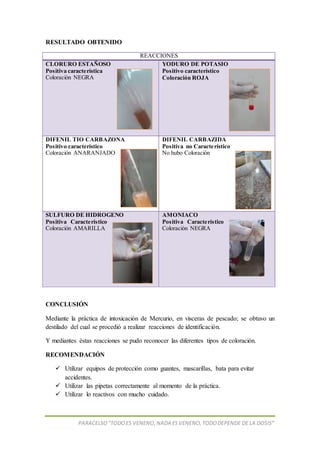 PARACELSO”TODOES VENENO,NADA ESVENENO,TODODEPENDE DE LA DOSIS”
RESULTADO OBTENIDO
REACCIONES
CLORURO ESTAÑOSO
Positiva característica
Coloración NEGRA
YODURO DE POTASIO
Positivo característico
Coloración ROJA
DIFENIL TIO CARBAZONA
Positivo característico
Coloración ANARANJADO
DIFENIL CARBAZIDA
Positiva no Característico
No hubo Coloración
SULFURO DE HIDROGENO
Positiva Característico
Coloración AMARILLA
AMONIACO
Positiva Característico
Coloración NEGRA
CONCLUSIÓN
Mediante la práctica de intoxicación de Mercurio, en vísceras de pescado; se obtuvo un
destilado del cual se procedió a realizar reacciones de identificación.
Y mediantes éstas reacciones se pudo reconocer las diferentes tipos de coloración.
RECOMENDACIÓN
 Utilizar equipos de protección como guantes, mascarillas, bata para evitar
accidentes.
 Utilizar las pipetas correctamente al momento de la práctica.
 Utilizar lo reactivos con mucho cuidado.
 