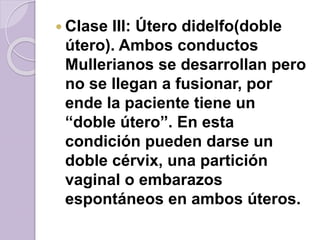  Clase III: Útero didelfo(doble 
útero). Ambos conductos 
Mullerianos se desarrollan pero 
no se llegan a fusionar, por 
ende la paciente tiene un 
“doble útero”. En esta 
condición pueden darse un 
doble cérvix, una partición 
vaginal o embarazos 
espontáneos en ambos úteros. 
 