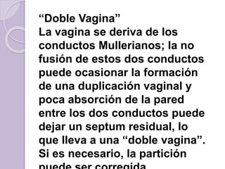 “Doble Vagina” 
La vagina se deriva de los 
conductos Mullerianos; la no 
fusión de estos dos conductos 
puede ocasionar la formación 
de una duplicación vaginal y 
poca absorción de la pared 
entre los dos conductos puede 
dejar un septum residual, lo 
que lleva a una “doble vagina”. 
Si es necesario, la partición 
puede ser corregida 
 