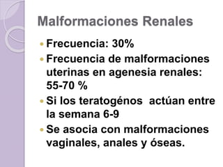 Malformaciones Renales 
 Frecuencia: 30% 
 Frecuencia de malformaciones 
uterinas en agenesia renales: 
55-70 % 
 Si los teratogénos actúan entre 
la semana 6-9 
 Se asocia con malformaciones 
vaginales, anales y óseas. 
 