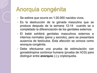 Anorquia congénita 
 Se estima que ocurre en 1:20.000 nacidos vivos. 
 Es la destrucción de la gónada masculina que se 
produce después de la semana 12-14 cuando se a 
completado la diferenciación de los genitales externos. 
 El bebé exhibirá genitales masculinos externos e 
internos normales (pene y escroto), pero se presentará 
ausencia de testículos. Esta afección se conoce como 
anorquia congénita. 
 Debe efectuarse una prueba de estimulación con 
gonadotropina coriónica humana (prueba de hCG) para 
distinguir entre anorquía (-) y criptorquidia. 
 