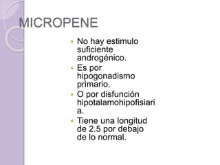 MICROPENE 
 No hay estimulo 
suficiente 
androgénico. 
 Es por 
hipogonadismo 
primario. 
 O por disfunción 
hipotalamohipofisiari 
a. 
 Tiene una longitud 
de 2.5 por debajo 
de lo normal. 
 