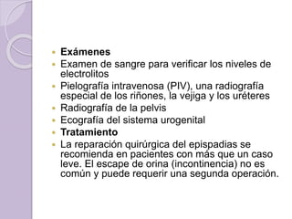  Exámenes 
 Examen de sangre para verificar los niveles de 
electrolitos 
 Pielografía intravenosa (PIV), una radiografía 
especial de los riñones, la vejiga y los uréteres 
 Radiografía de la pelvis 
 Ecografía del sistema urogenital 
 Tratamiento 
 La reparación quirúrgica del epispadias se 
recomienda en pacientes con más que un caso 
leve. El escape de orina (incontinencia) no es 
común y puede requerir una segunda operación. 
 