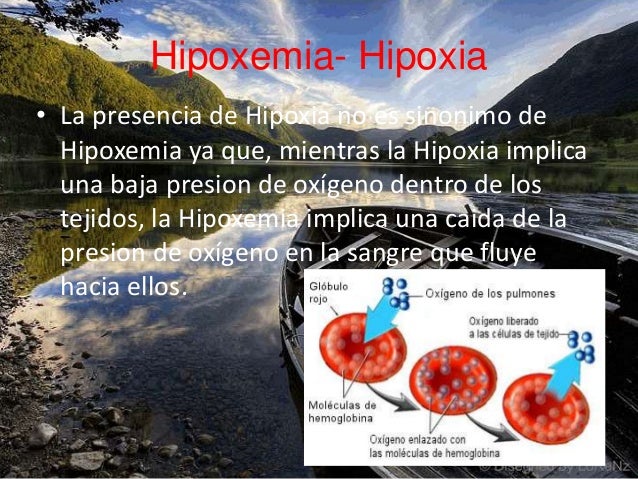 Disnea, Palpitaciones, Hipoxia, Hipoxemia, Cianosis, Tos