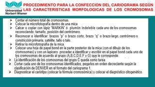 PROCEDIMIENTO PARA LA CONFECCION DEL CARIOGRAMA SEGÚN
LAS CARACTERISTICAS MORFOLOGICAS DE LOS CROMOSOMAS
 
