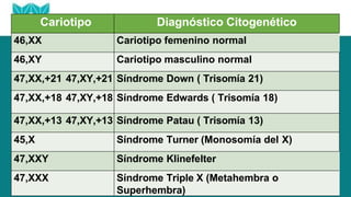 Cariotipo Diagnóstico Citogenético
46,XX Cariotipo femenino normal
46,XY Cariotipo masculino normal
47,XX,+21 47,XY,+21 Síndrome Down ( Trisomía 21)
47,XX,+18 47,XY,+18 Síndrome Edwards ( Trisomía 18)
47,XX,+13 47,XY,+13 Síndrome Patau ( Trisomía 13)
45,X Síndrome Turner (Monosomía del X)
47,XXY Síndrome Klinefelter
47,XXX Síndrome Triple X (Metahembra o
Superhembra)
 