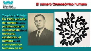 El número Cromosómico humano
Teophilus Painter
En 1923, a partir
de cortes
parafinados de
muestras de
testículo,
estableció el
número
cromosómico
humano en 48
 