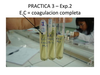 PRACTICA 3 – Exp.2E.C =coagulacion completa 
