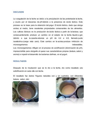 DISCUSION
La coagulación de la leche se debio a la precipitación de las proteínasde la leche,
y ocurre por el descenso de pH debido a la presencia de ácido láctico. Este
proceso es la base para la obtención del yogur. El ácido láctico, dado que otorga
acidez al medio, tiene excelentes propiedades conservantes de los alimentos.
Los cultivos lácticos es la producción de ácido láctico a partir de la lactosa, que
consecuentemente produce un cambio en el estado de la leche, líquido a gel,
debido a que la caseína alcanza un pH de 4.4 a 4.6, llamado punto
isoeléctrico (carga neta cero). Este cambio en la acidez produce inhibición de
microorganismos indeseables.
Los microorganismos influyen en el proceso de acidificación (disminución de pH),
imprescindible para otorgarle al queso sus características propias (textura, sabor y
aroma) e impedir el desarrollo de bacterias dañinas, en el yogurt.
RESULTADOS
Después de la incubación que se le dio a la leche, dio como resultado una
solidificación en cada olla con leche.
El resultado fue dedos Yogures naturales con y sin sustratos, con diferentes
textura, sabor, olor.
 