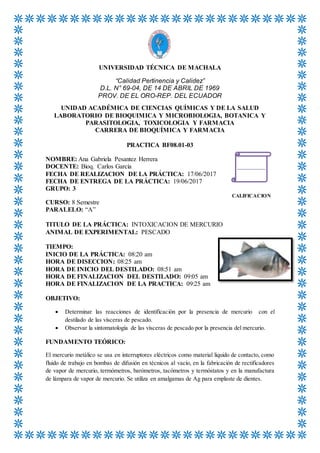 UNIVERSIDAD TÉCNICA DE MACHALA
“Calidad Pertinencia y Calidez”
D.L. N° 69-04, DE 14 DE ABRIL DE 1969
PROV. DE EL ORO-REP. DEL ECUADOR
UNIDAD ACADÉMICA DE CIENCIAS QUÍMICAS Y DE LA SALUD
LABORATORIO DE BIOQUIMICA Y MICROBIOLOGIA, BOTANICA Y
PARASITOLOGIA, TOXICOLOGIA Y FARMACIA
CARRERA DE BIOQUÍMICA Y FARMACIA
PRACTICA BF08.01-03
NOMBRE: Ana Gabriela Pesantez Herrera
DOCENTE: Bioq. Carlos García
FECHA DE REALIZACION DE LA PRÁCTICA: 17/06/2017
FECHA DE ENTREGA DE LA PRÁCTICA: 19/06/2017
GRUPO: 3
CALIFICACION
CURSO: 8 Semestre
PARALELO: “A”
TITULO DE LA PRÁCTICA: INTOXICACION DE MERCURIO
ANIMAL DE EXPERIMENTAL: PESCADO
TIEMPO:
INICIO DE LA PRÁCTICA: 08:20 am
HORA DE DISECCION: 08:25 am
HORA DE INICIO DEL DESTILADO: 08:51 am
HORA DE FINALIZACION DEL DESTILADO: 09:05 am
HORA DE FINALIZACION DE LA PRACTICA: 09:25 am
OBJETIVO:
 Determinar las reacciones de identificación por la presencia de mercurio con el
destilado de las vísceras de pescado.
 Observar la sintomatología de las vísceras de pescado por la presencia del mercurio.
FUNDAMENTO TEÓRICO:
El mercurio metálico se usa en interruptores eléctricos como material liquido de contacto, como
fluido de trabajo en bombas de difusión en técnicos al vacío, en la fabricación de rectificadores
de vapor de mercurio, termómetros, barómetros, tacómetros y termóstatos y en la manufactura
de lámpara de vapor de mercurio. Se utiliza en amalgamas de Ag para emplaste de dientes.
 