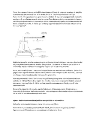 Toma dosmatraces Erlenmeyerde 250 ml y coloca enel fondode cada uno, unabase de algodón
que tendrásque humedecercon20 ml de NaOH 0.25 N. Despuéscolocasobre estacapa
humedecidaotracapaalgodónde aproximadamente 3cm de espesoryagregaen cada matraz las
porcionesde semillasque pesasteanteriormente.Taparápidamente losmatracesconlostapones
de hule que tieneninsertadoslostubosde vidrio,paraevitarque hayafugascolocaalrededordel
tapóncera de Campeche.Al matrazque contengalaporción de semillashervidasrotúlaloconla
leyenda“control”.
NOTA: Evita que lassemillastengancontactoconlasoluciónde NaOH,estasustanciaabsorberáel
CO2 que produzcanlassemillasdurante larespiración.Loscambiosde presiónque se denenel
interiordel matrazseránocasionadosporel oxígenoque se estáconsumiendo.
En un pedazode hojablanca marca una longitudde 15 cms, centímetroa centímetro.Recórtalay
pégalasobre laparte libre del tubode vidrio(deberáshacerestoparalosdos matraces).Observa
enel esquemacomodebe quedarmontadoel respirómetro.
Con lapipetaPasteurcolocacon cuidadounagota de rojocongo enel extremode laparte libre
del tubode vidrioenformade L. Esperados minutosyobservael desplazamientode lagotadel
colorante a travésdel tubode vidrio,conla graduaciónque pegaste enél podrásmedireste
desplazamiento.
Durante lossiguientes20minutosregistraladistanciadel desplazamientodel colorante en
intervalosde 2minutos.Si el movimientodel colorante esmuyrápidodeberásiniciarnuevamente
laslecturasenintervalosde tiempomáscortos.
B) Para medirel consumode oxígenoenla respiración de las lombrices.
Colocalas lombricesdentrode unmatrazErlenmeyerde 250 ml.
Humedece unpedazode algodónconNaOH 0.25 N,envuélveloenunagasaajustándolo
ligeramenteconhilodejandounpedazode aproximadamente 10cm.
 