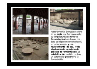 Proyecto Baetica .pdf
