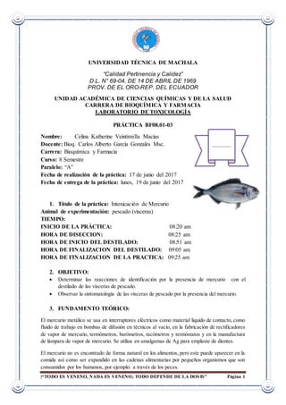 |“TODO ES VENENO, NADA ES VENENO; TODO DEPENDE DE LA DOSIS” Página 1
UNIVERSIDAD TÉCNICA DE MACHALA
“Calidad Pertinencia y Calidez”
D.L. N° 69-04, DE 14 DE ABRIL DE 1969
PROV. DE EL ORO-REP. DEL ECUADOR
UNIDAD ACADÉMICA DE CIENCIAS QUÍMICAS Y DE LA SALUD
CARRERA DE BIOQUÍMICA Y FARMACIA
LABORATORIO DE TOXICOLOGÍA
PRÁCTICA BF08.01-03
Nombre: Celina Katherine Veintimilla Macías
Docente: Bioq. Carlos Alberto García Gonzales Msc.
Carrera: Bioquímica y Farmacia
Curso: 8 Semestre
Paralelo: “A”
Fecha de realización de la práctica: 17 de junio del 2017
Fecha de entrega de la práctica: lunes, 19 de junio del 2017
1. Título de la práctica: Intoxicación de Mercurio
Animal de experimentación: pescado (vísceras)
TIEMPO:
INICIO DE LA PRÁCTICA: 08:20 am
HORA DE DISECCION: 08:25 am
HORA DE INICIO DEL DESTILADO: 08:51 am
HORA DE FINALIZACION DEL DESTILADO: 09:05 am
HORA DE FINALIZACION DE LA PRACTICA: 09:25 am
2. OBJETIVO:
 Determinar las reacciones de identificación por la presencia de mercurio con el
destilado de las vísceras de pescado.
 Observar la sintomatología de las vísceras de pescado por la presencia del mercurio.
3. FUNDAMENTO TEÓRICO:
El mercurio metálico se usa en interruptores eléctricos como material liquido de contacto, como
fluido de trabajo en bombas de difusión en técnicos al vacío, en la fabricación de rectificadores
de vapor de mercurio, termómetros, barómetros, tacómetros y termóstatos y en la manufactura
de lámpara de vapor de mercurio. Se utiliza en amalgamas de Ag para emplaste de dientes.
El mercurio no es encontrado de forma natural en los alimentos, pero este puede aparecer en la
comida así como ser expandido en las cadenas alimentarias por pequeños organismos que son
consumidos por los humanos, por ejemplo: a través de los peces.
 