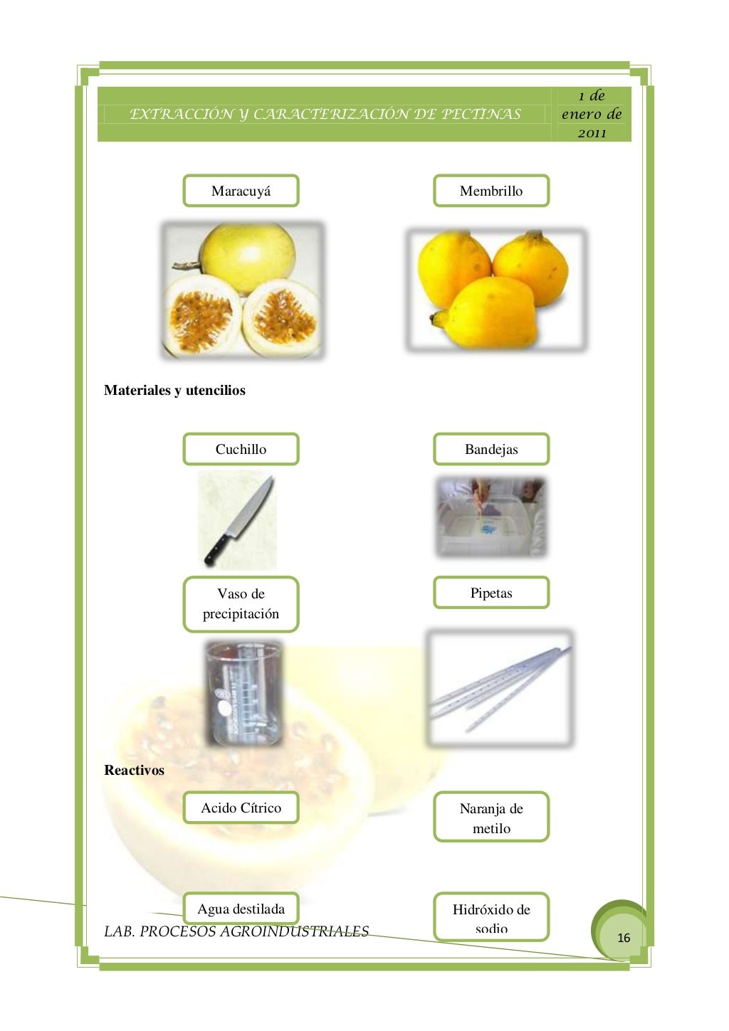 EXTRACCION DE PECTINA