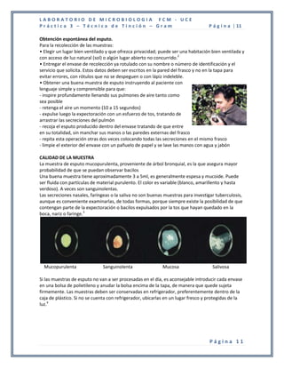 LABORATORIO DE MICROBIOLOGIA FCM - UCE
Práctica 3 – Técnica de Tinción – Gram                                            P á g i n a | 11

Obtención espontánea del esputo.
Para la recolección de las muestras:
• Elegir un lugar bien ventilado y que ofrezca privacidad; puede ser una habitación bien ventilada y
con acceso de luz natural (sol) o algún lugar abierto no concurrido.2
• Entregar el envase de recolección ya rotulado con su nombre o número de identificación y el
servicio que solicita. Estos datos deben ser escritos en la pared del frasco y no en la tapa para
evitar errores, con rótulos que no se despeguen o con lápiz indeleble.
• Obtener una buena muestra de esputo instruyendo al paciente con
lenguaje simple y comprensible para que:
- inspire profundamente llenando sus pulmones de aire tanto como
sea posible
- retenga el aire un momento (10 a 15 segundos)
- expulse luego la expectoración con un esfuerzo de tos, tratando de
arrastrar las secreciones del pulmón
- recoja el esputo producido dentro del envase tratando de que entre
en su totalidad, sin manchar sus manos o las paredes externas del frasco
- repita esta operación otras dos veces colocando todas las secreciones en el mismo frasco
- limpie el exterior del envase con un pañuelo de papel y se lave las manos con agua y jabón

CALIDAD DE LA MUESTRA
La muestra de esputo mucopurulenta, proveniente de árbol bronquial, es la que asegura mayor
probabilidad de que se puedan observar bacilos
Una buena muestra tiene aproximadamente 3 a 5ml, es generalmente espesa y mucoide. Puede
ser fluida con partículas de material purulento. El color es variable (blanco, amarillento y hasta
verdoso). A veces son sanguinolentas.
Las secreciones nasales, faríngeas o la saliva no son buenas muestras para investigar tuberculosis,
aunque es conveniente examinarlas, de todas formas, porque siempre existe la posibilidad de que
contengan parte de la expectoración o bacilos expulsados por la tos que hayan quedado en la
boca, nariz o faringe.3




  Mucopurulenta               Sanguinolenta                 Mucosa                  Salivosa

Si las muestras de esputo no van a ser procesadas en el día, es aconsejable introducir cada envase
en una bolsa de polietileno y anudar la bolsa encima de la tapa, de manera que quede sujeta
firmemente. Las muestras deben ser conservadas en refrigerador, preferentemente dentro de la
caja de plástico. Si no se cuenta con refrigerador, ubicarlas en un lugar fresco y protegidas de la
luz.4




                                                                                   Página 11
 