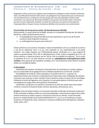 LABORATORIO DE MICROBIOLOGIA FCM - UCE
Práctica 3 – Técnica de Tinción – Gram                                             Página |9

diagnóstico clínico puesto que algunos microorganismos patógenos ácido-alcohol resistentes,
tales como Mycobacterimum tuberculosis son patógenos muy importantes para los humanos.
Las micobacterias no constituyen el único grupo que tienen propiedades alcohol-acido
resistentes. Las especies de Nocardia y Rhodococcus poseen una alcohol-acido resistencia
parcial así como Legionella micdadei causante de neumonía. Los quistes de los géneros
Cryptosporidium e Isospora tienen resistencia definida a las tinciones con acido alcohol


Pared Celular de las bacterias Acido- Alcohol Resistentes (BAAR).
Químicamente, la pared celular de los BAAR consiste en un esqueleto formado por dos tipos de
polímeros, unidos covalentemente entre sí:
     Un peptidoglucano especial (la diferencia más importante es que en vez de N-acetil
       murámico existe N-glucolil-murámico);
     un arabinogalactano de gran peso molecular.7


Ambos polímeros se encuentran enlazados a través de fosfodiéster entre una unidad de murámico
y una de las arabinosas. Pero a su vez, este esqueleto se une covalentemente a los ácidos
micólicos.7 Los ácidos micólicos son ß-hidroxiácidos grasos ramificados en a, cuya longitud de
cadena es grande (desde C78 a C91 en Mycobacterium). Están unidos al esqueleto de la P.C. de
forma uniforme, a través de enlaces con los -OH en 5 de las unidades de arabinosa.7 Por lo tanto,
el esqueleto de la P.C. de estas bacterias consiste en: peptidoglucano-arabinogalactano-ácidos
micólicos. Pero aparte de este esqueleto complejo, la P.C. de las bacterias ácido-alcohol resistente
exhibe una variedad de lípidos:

1) Glucolípidos:
   a) Micolatos de trehalosa: Constituyen el llamado factor de crecimiento en cuerdas, debido a
que son responsables de la agregación de los individuos bacterianos en forma de “cuerdas”.
   b) Sulfolípidos de trehalosa: están localizados en la periferia de la P.C., y parecen ser
importantes factores de virulencia. En Mycobacterium tuberculosis estos sulfolípidos de trehalosa
funcionan como evasinas, es decir, facilitan el que la bacteria escape a la acción de los macrófagos
inhibiendo la fusión del fagosoma con el lisosoma, lo cual puede explicar el hecho de que estos
microorganismos tengan éxito como parásitos intracelulares.
   c) Micósidos: Localizados en la periferia, consisten en la unión por enlace éster entre ácidos
micólicos y azúcares (incluyendo ácidos urónicos, desoxiosas, aminozúcares, etc.).

2) Ceras: Unión de ácidos micólicos con tioceroles (alcoholes ramificados de alto peso molecular).7
El alto contenido en lípidos confiere una serie de propiedades a estas bacterias (aparte de la ácido-
alcohol resistencia ya citada): aspecto y consistencia cérea de sus colonias; crecen formando
grumos en medios líquidos; gran impermeabilidad de la P.C., que a su vez condiciona una gran
resistencia a la desecación y gran resistencia a sustancias antibacterianas (detergentes, oxidantes,
ácidos, bases, etc).5




                                                                                     Página 9
 