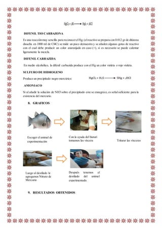 DIFENIL TIO CARBAZONA
Es una reacciónmuy sencilla para reconocerelHg; (elreactivo se prepara con 0.012 gr de ditizona
disuelta en 1000 ml de Cl4C) se mide un poco demuestra y se añaden algunas gotas de reactivo
con el cual debe producir un color anaranjado en caso (+), si es necesario se puede calentar
ligeramente la mezcla.
DIFENIL CARBAZIDA
En medio alcohólico, la difenil carbazida produce con el Hg un color violeta o rojo violeta.
SULFURO DE HIDROGENO
Produce un precipitado negro mercúrico.
AMONIACO
Si al añadir la solución de NH3 sobre el precipitado este se ennegrece,es señalsuficiente para la
existencia del mercurio.
8. GRAFICOS
9. RESULTADOS OBTENIDOS
Escoger el animal de
experimentación
Con la ayuda del bisturí
tomamos las víscera Triturar las vísceras
Luego al destilado le
agregamos Nitrato de
Mercurio
Después tenemos el
destilado del animal
experimentado.
 