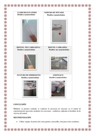 CLORURO ESTAÑOSO
Positivo característico
YODURO DE POTASIO
Positivo característico
DIFENIL TIO CARBAZONA
Positivo característico
DIFENIL CARBAZIDA
Positivo no característico
SULFURO DE HIDROGENO
Positivo característico
AMONIACO
Positivo característico
CONCLUSIÓN
Mediante la práctica realizada se evidencio la presencia de mercurio en el animal de
experimentación (pescado), mediantes las reacciones cualitativas aplicadas al destilado de las
vísceras del animal.
RECOMENDACIÓN
 Utilizar equipos de protección como guantes, mascarillas, bata para evitar accidentes.
 