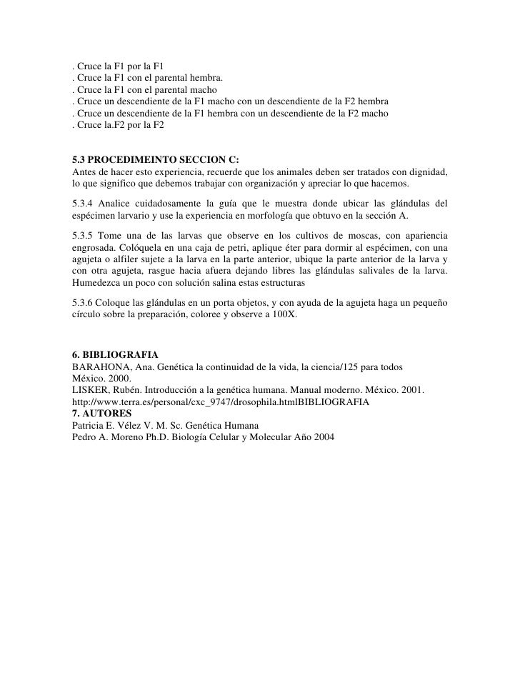 4 02 guatemala practica 402 guatemala - práctica a answer the following questions these answers can be found in the video 1 describe the life of cesar and his. 4 02 guatemala practica 402 guatemala - práctica a answer the following questions these answers can be found in the video 1 describe the life of cesar and his.