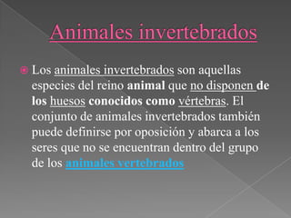  Los animales invertebrados son aquellas
 especies del reino animal que no disponen de
 los huesos conocidos como vértebras. El
 conjunto de animales invertebrados también
 puede definirse por oposición y abarca a los
 seres que no se encuentran dentro del grupo
 de los animales vertebrados
 