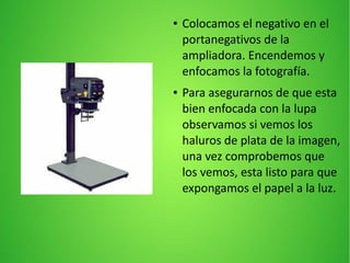 ● Colocamos el negativo en el
portanegativos de la
ampliadora. Encendemos y
enfocamos la fotografía.
● Para asegurarnos de que esta
bien enfocada con la lupa
observamos si vemos los
haluros de plata de la imagen,
una vez comprobemos que
los vemos, esta listo para que
expongamos el papel a la luz.
 