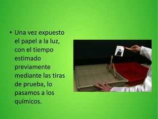 ● Una vez expuesto
el papel a la luz,
con el tiempo
estimado
previamente
mediante las tiras
de prueba, lo
pasamos a los
químicos.
 
