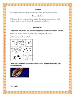 Conclusión:
En esta práctica pudimos observar cristales en la orina atreves del microscopio.
Recomendación:
Utilizar mandil para evitar mancharnos utilizar Guantes cerrar bien el envase donde
tenemos la orina y también destapar despacio para evitar salpicar.
Cuestionario:
¿Atreves del microscopio que tipo de célula y de microorganismo podemos observar?
Cristales en la orina como si tuviera la forma de un grano a de azúcar.
¿ Tipos de forma de cristales?
¿En la orina que tipo de células debo encontrar para decir que un paciente tiene
infección diabetes?
Web grafía:
 
