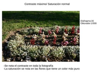 Contraste máximo/ Saturación normal
-Se nota el contraste en toda la fotografía
-La saturación se nota en las flores que tiene un color más puro
Diafragma:16
Obturador:1/500
 