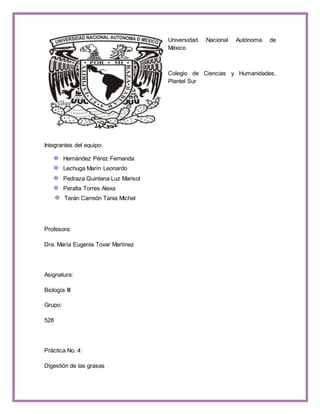 Universidad Nacional Autónoma de 
México 
Colegio de Ciencias y Humanidades, 
Plantel Sur 
Integrantes del equipo: 
Hernández Pérez Fernanda 
Lechuga Marín Leonardo 
Pedraza Quintana Luz Marisol 
Peralta Torres Alexa 
Terán Carreón Tania Michel 
Profesora: 
Dra. María Eugenia Tovar Martínez 
Asignatura: 
Biología III 
Grupo: 
528 
Práctica No. 4: 
Digestión de las grasas 
 