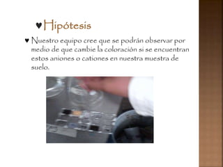 Hipótesis
 Nuestro equipo cree que se podrán observar por
medio de que cambie la coloración si se encuentran
estos aniones o cationes en nuestra muestra de
suelo.
 